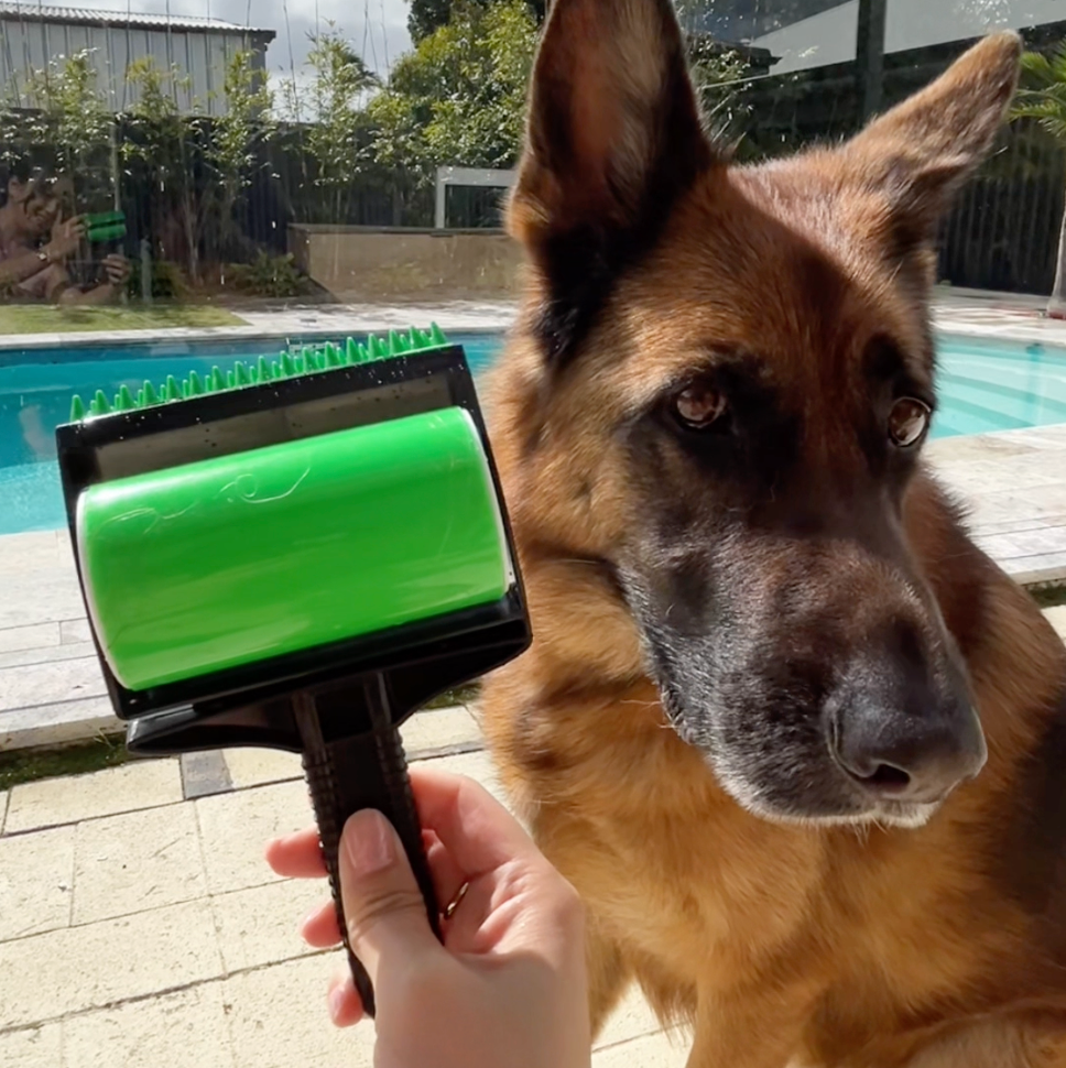 Reusable Lint Roller Furry Paws